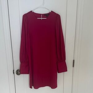 Banana Republic Fuchsia Long Sleeve Dress